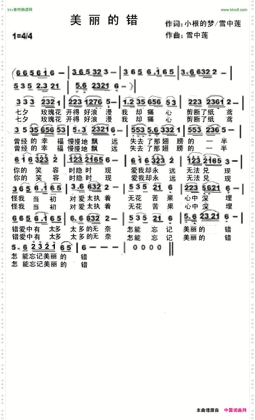 美丽的错