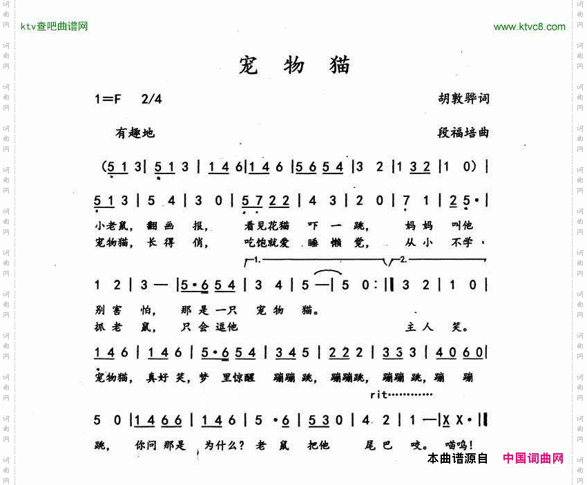 宠物猫