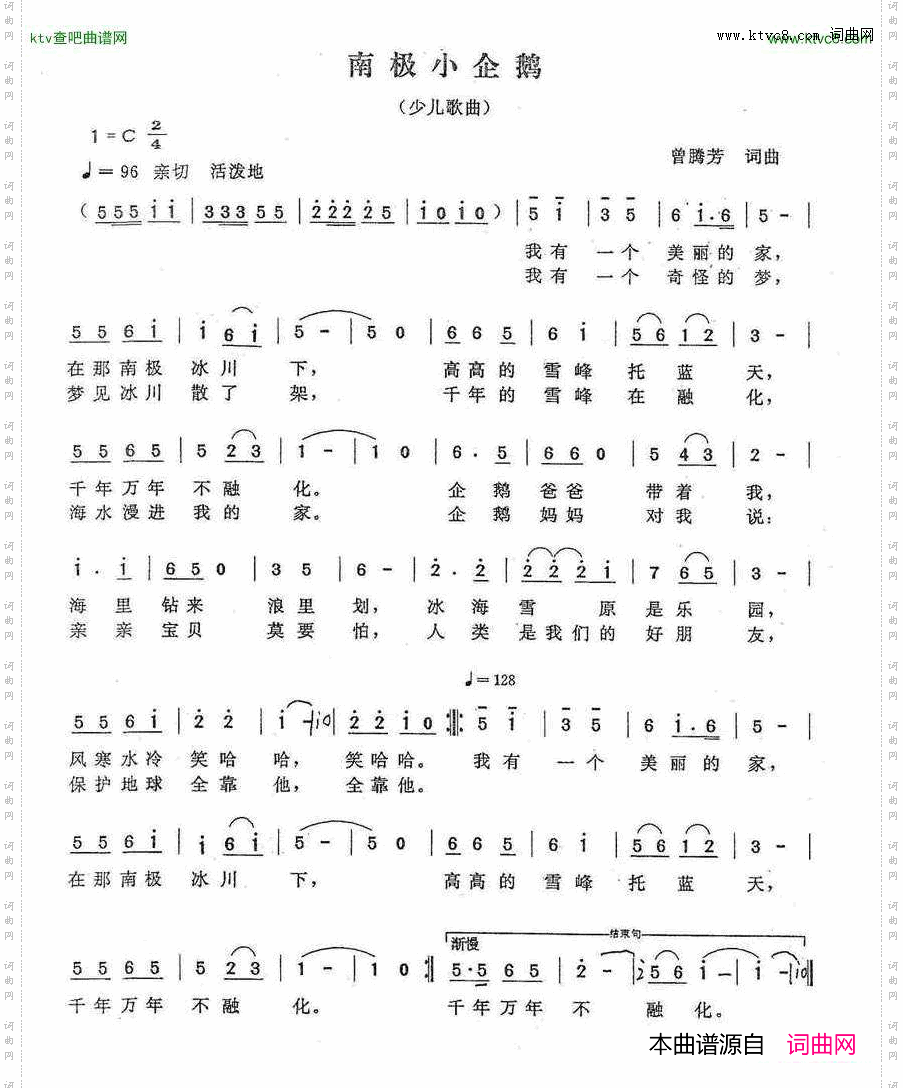 南极小企鹅