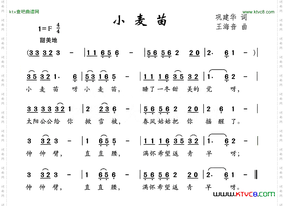 小麦苗