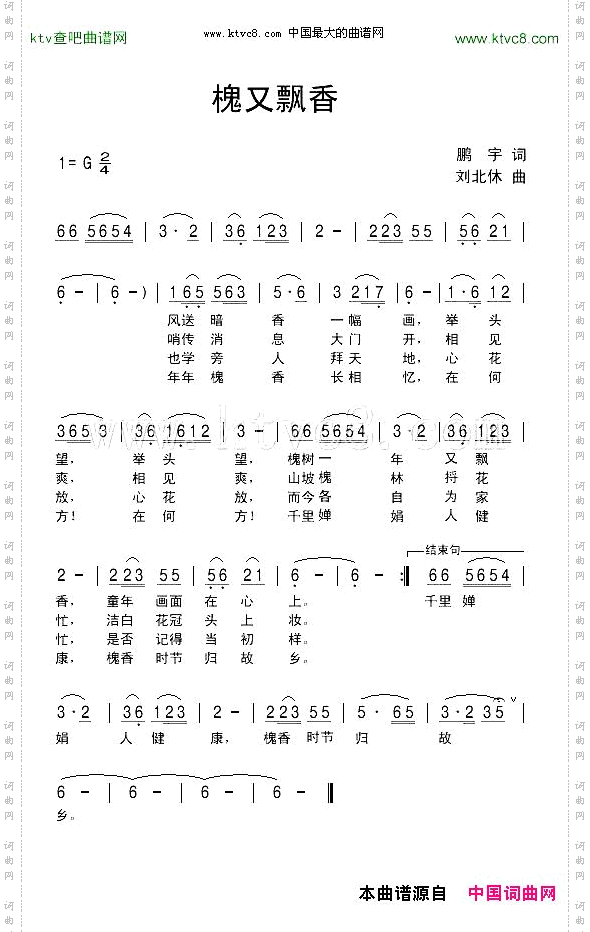 槐又飘香