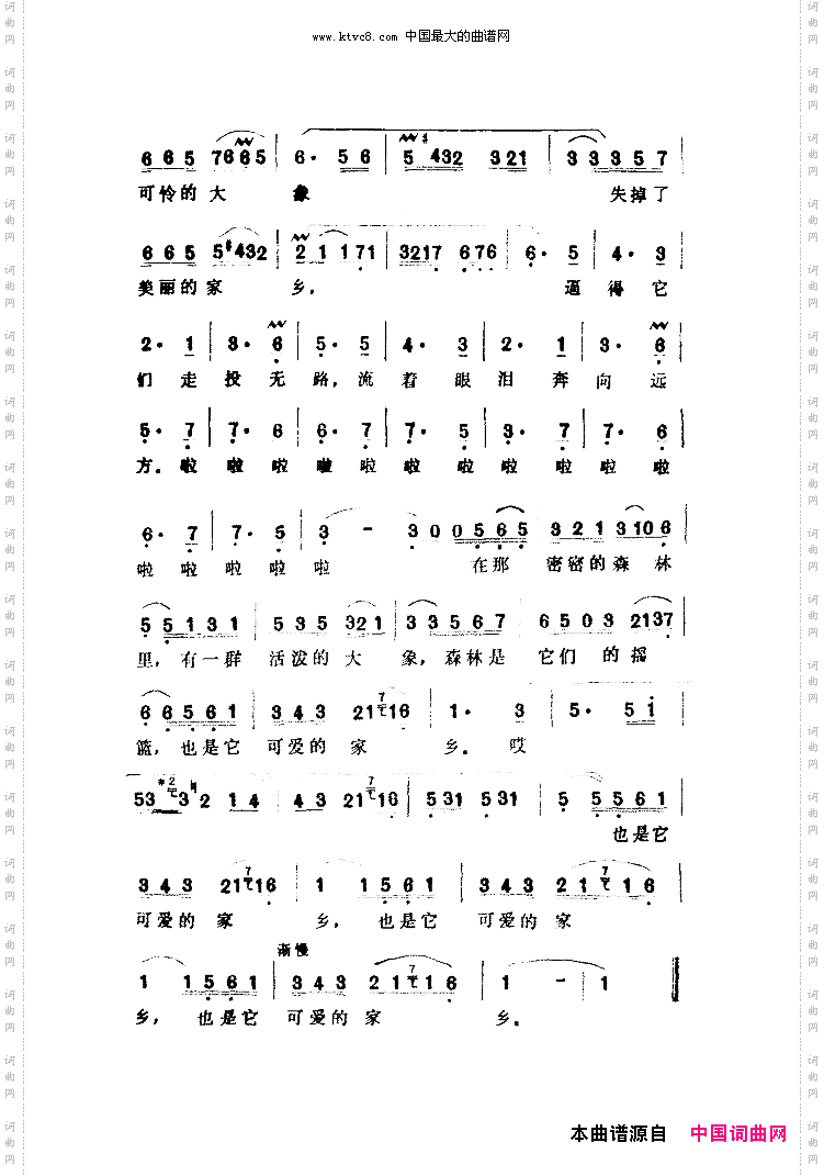 森林与大象