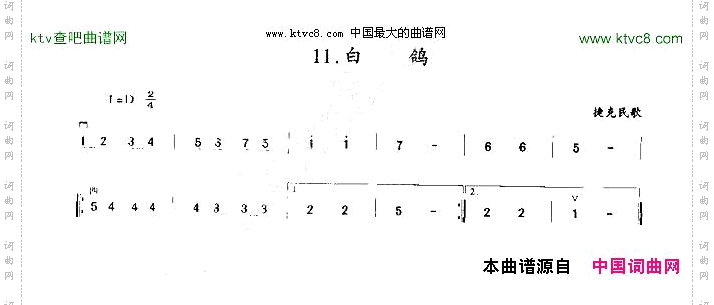 白鸽