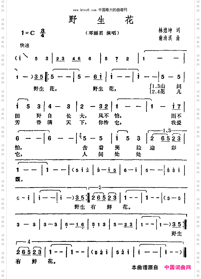 野生花
