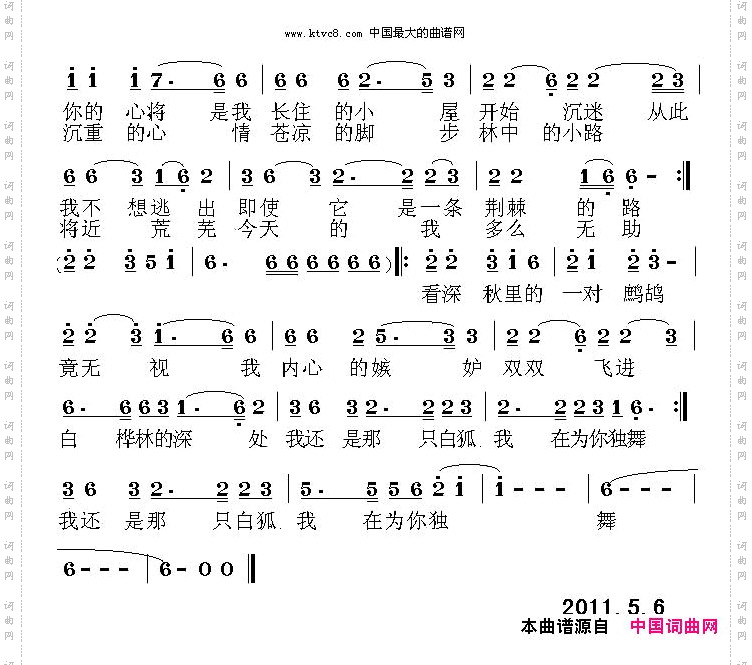 白桦林之恋