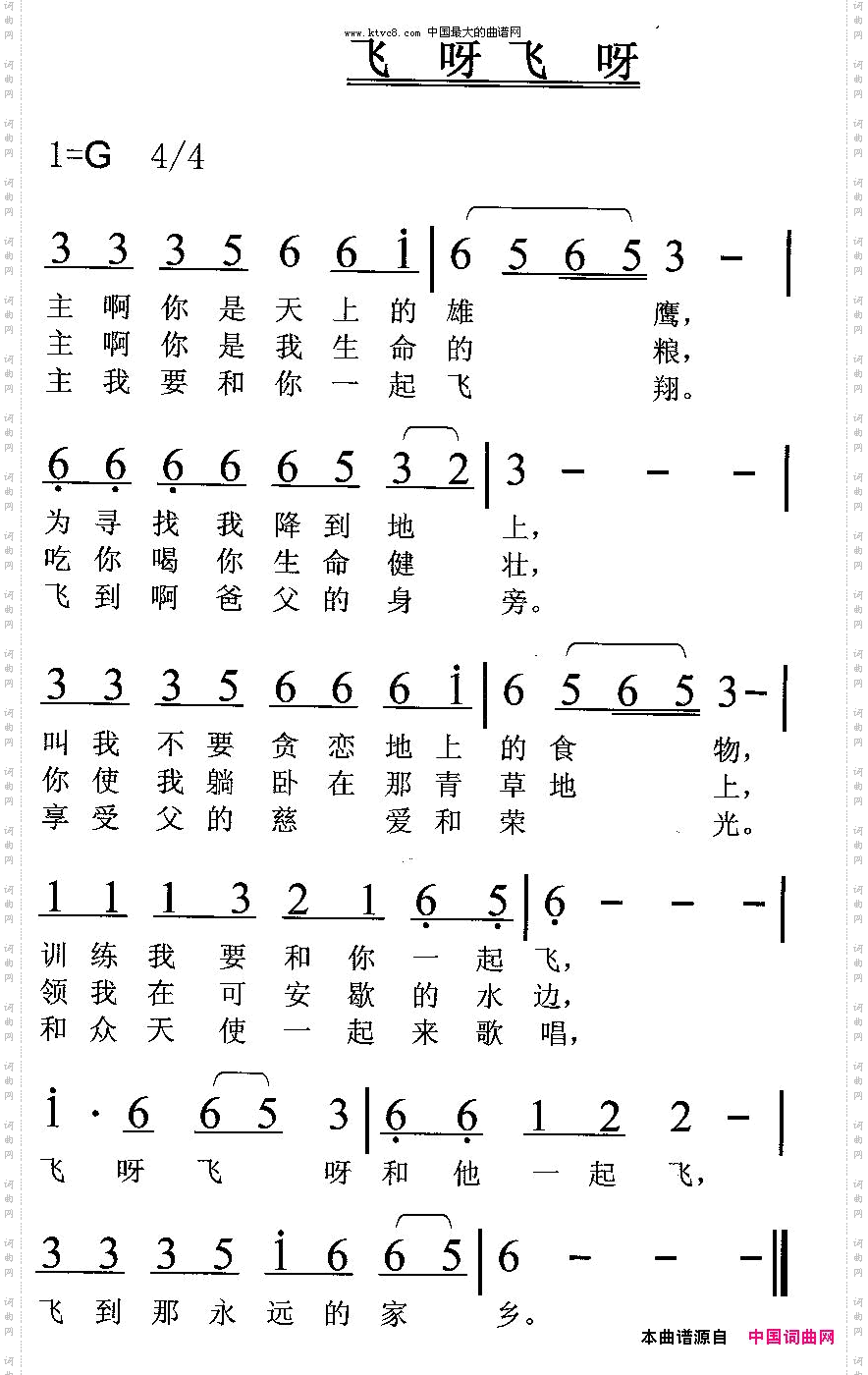 飞呀飞呀