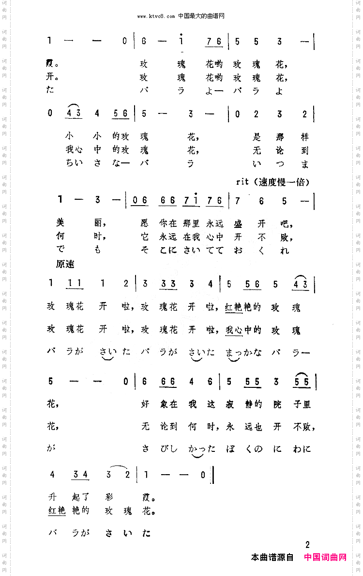 バラが咲いた玫瑰花开