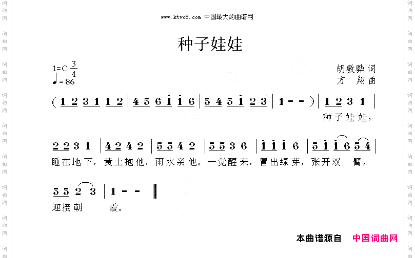 种子娃娃
