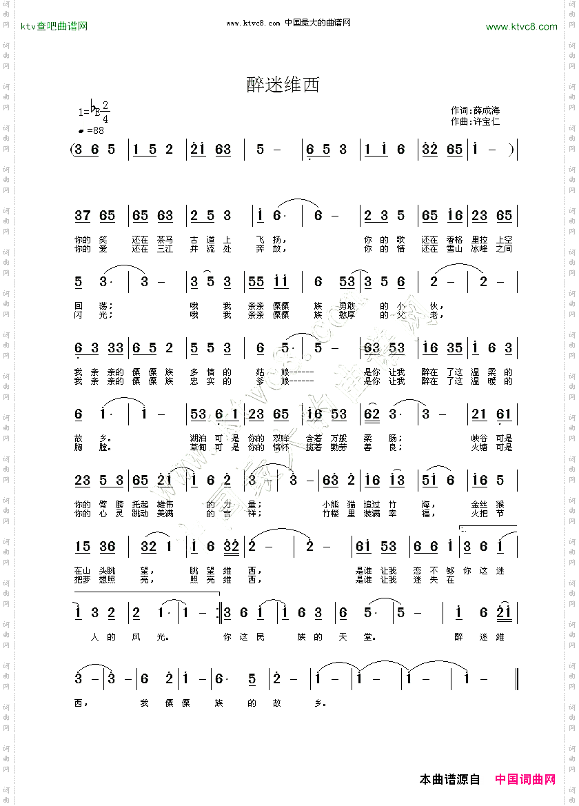 醉迷维西