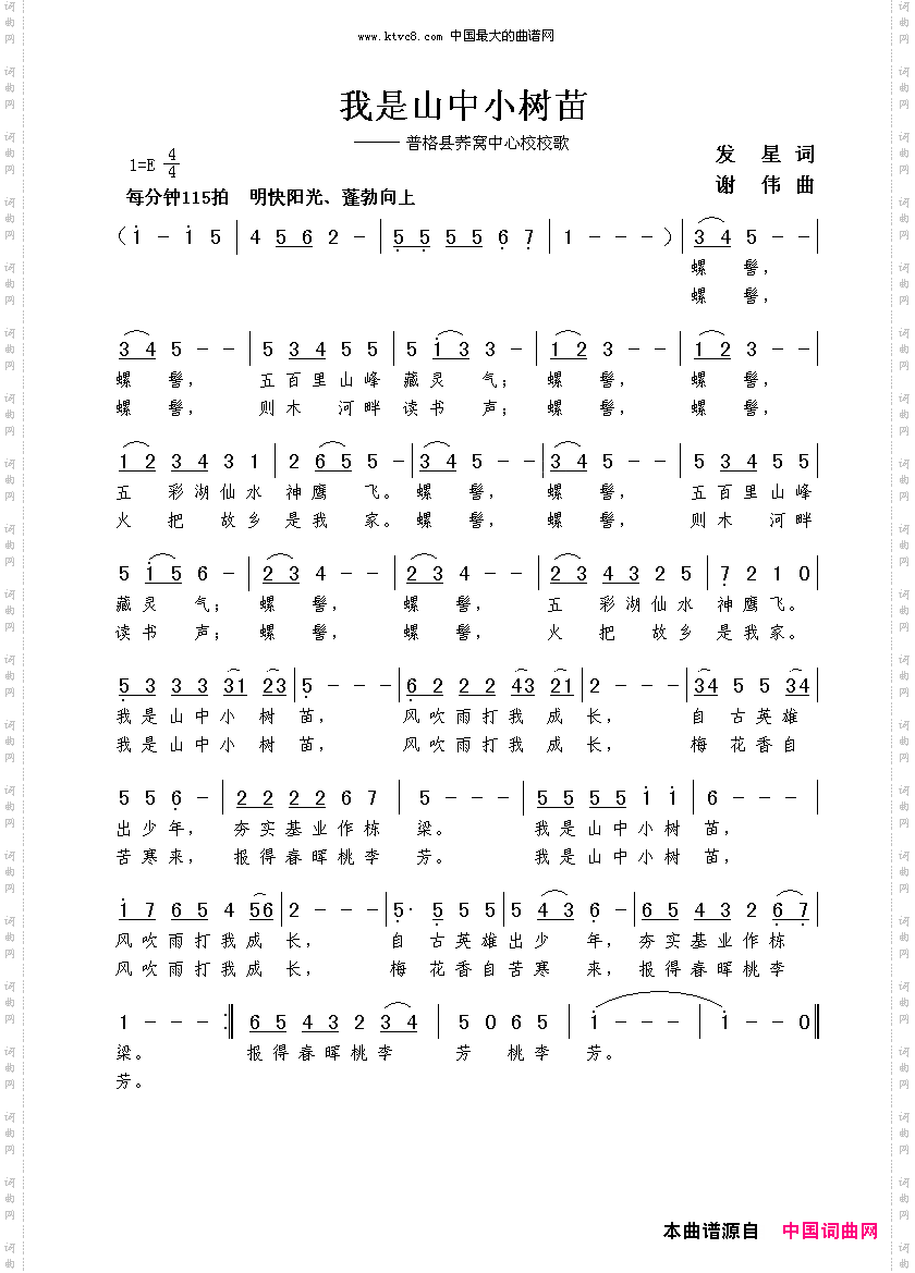 我是山中小树苗