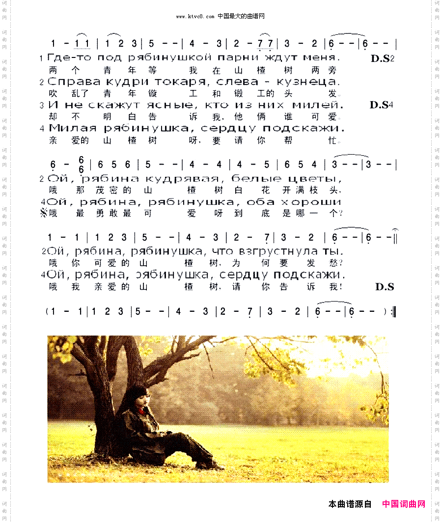山楂树_双语歌词