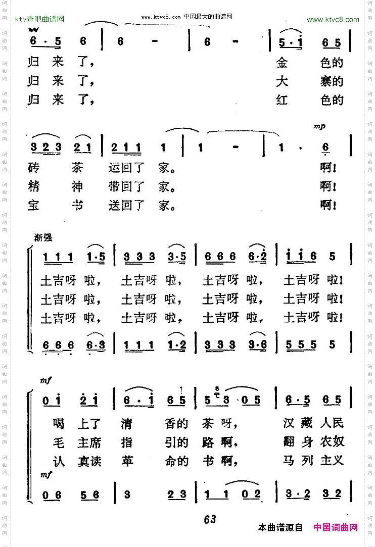 马群归来
