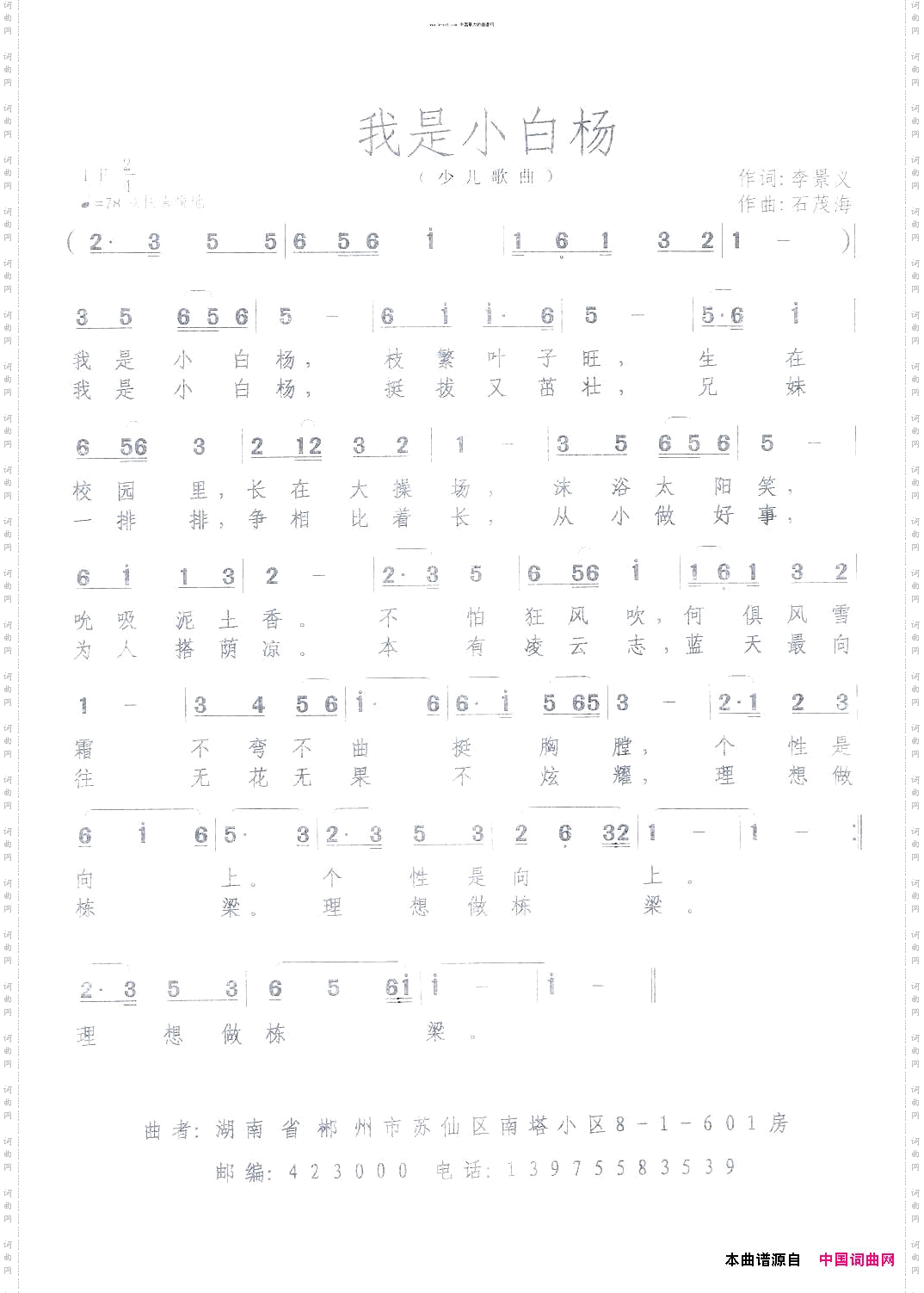 我是小白杨