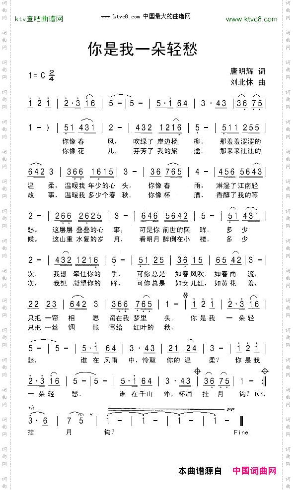 你是我一朵轻愁