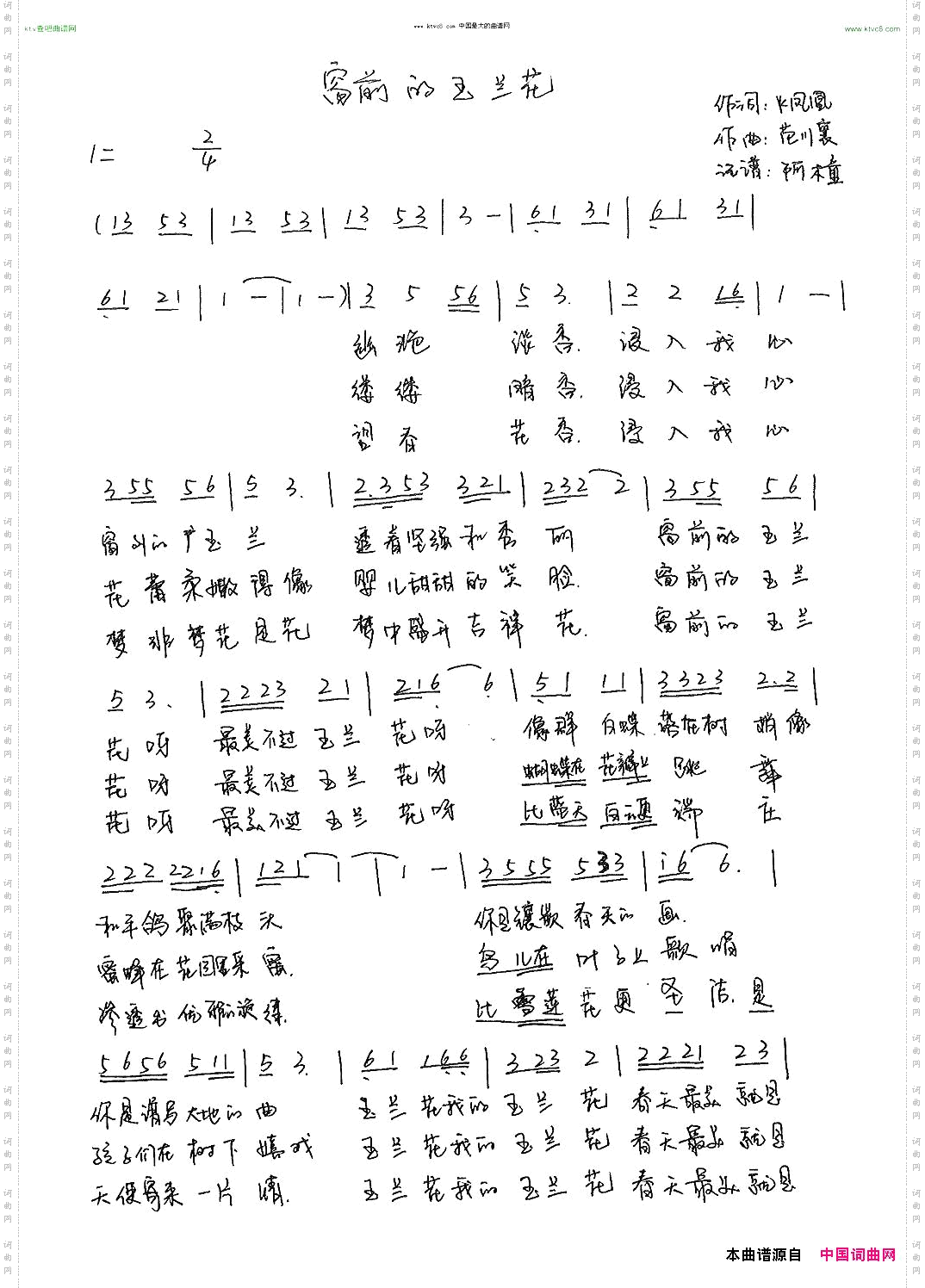 窗前的玉兰花