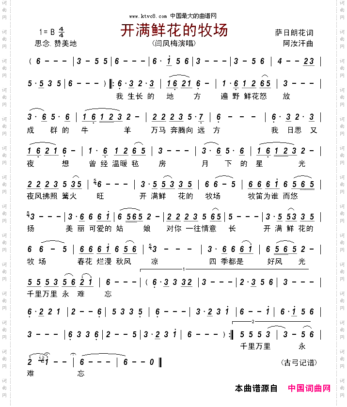 开满鲜花的牧场