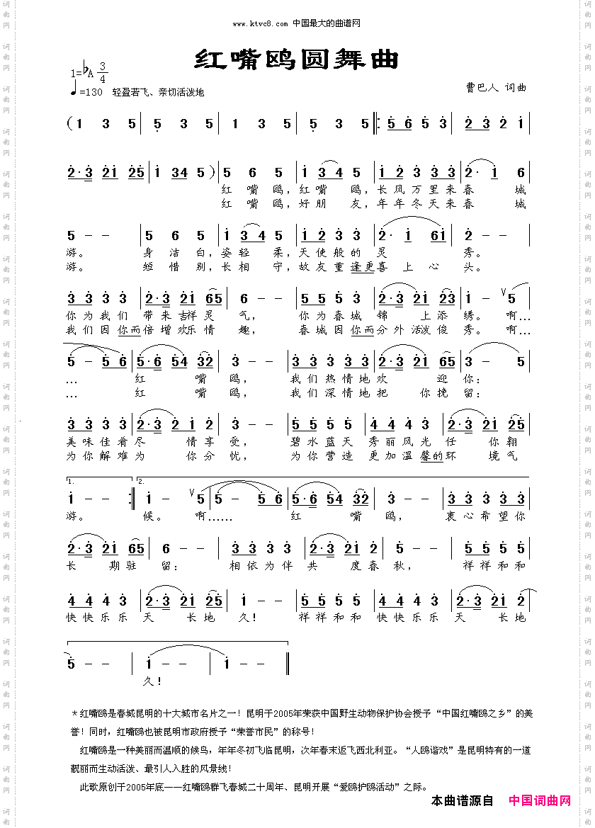 红嘴鸥圆舞曲