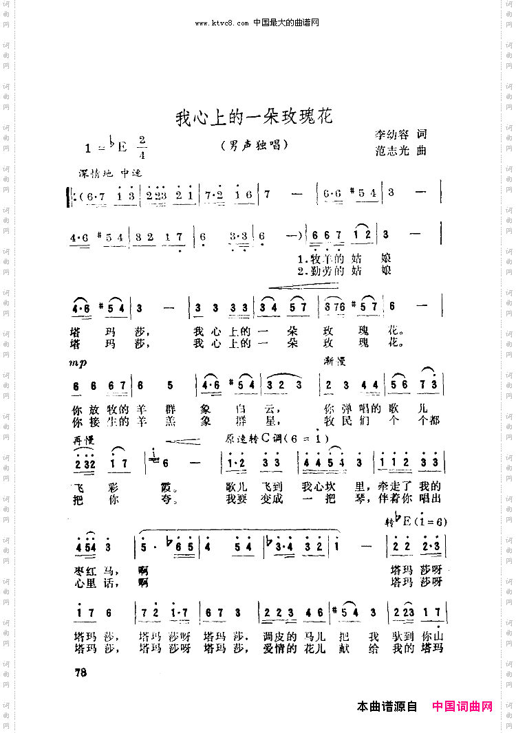 我心上的一朵玫瑰花