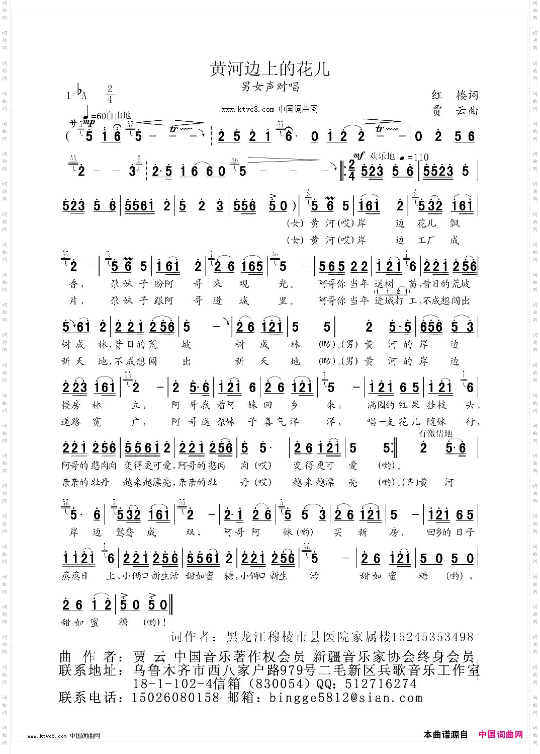 黄河边上的花儿