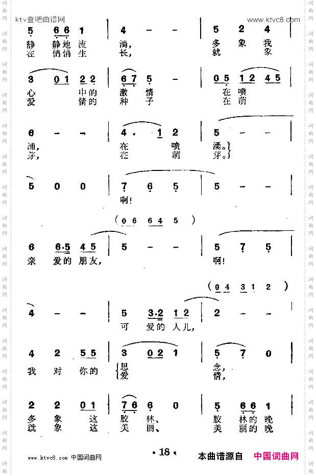 胶林小夜曲