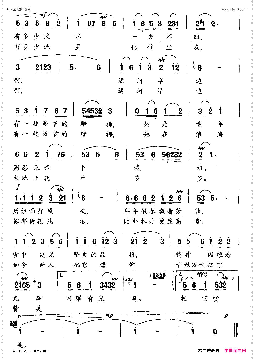 运河岸边一枝梅