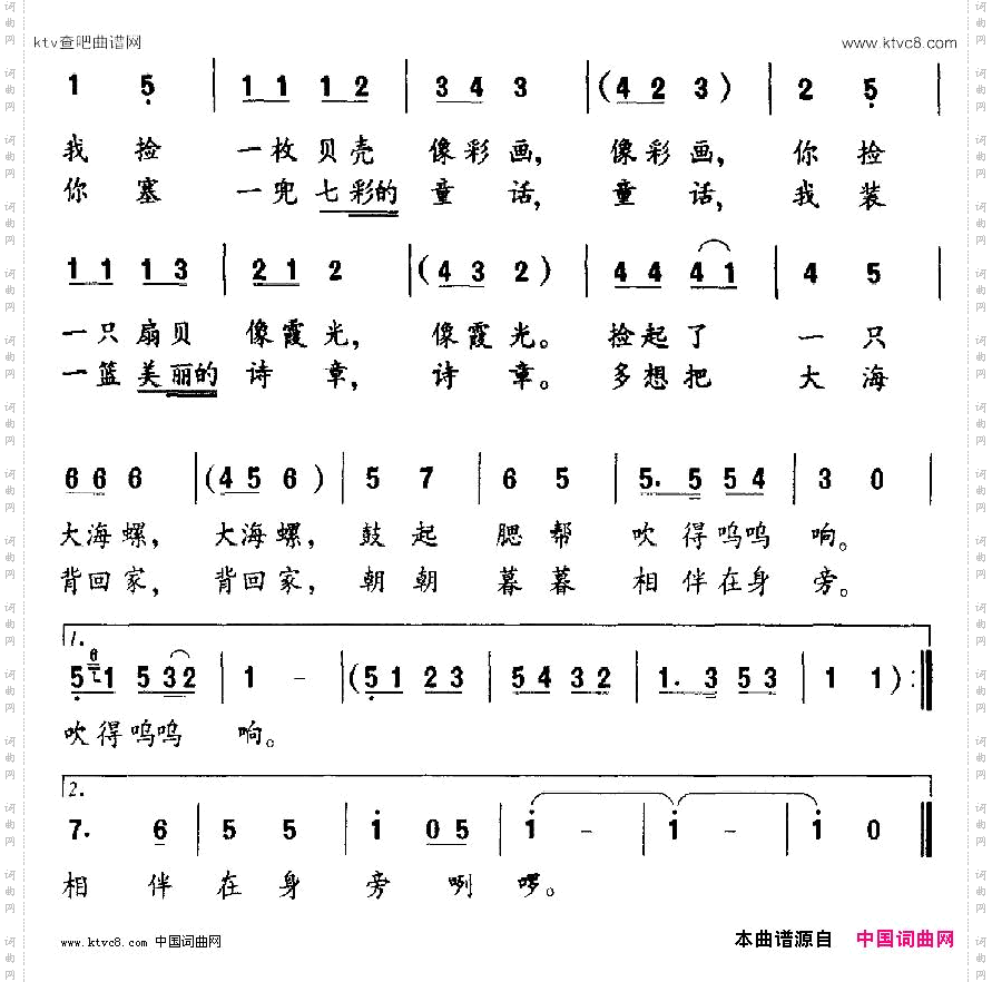 捡贝壳