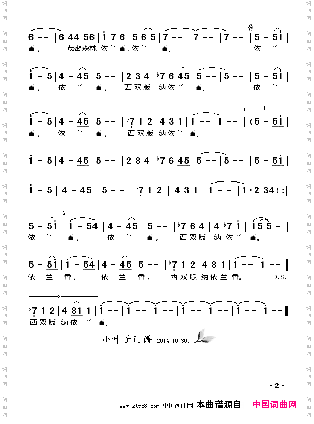 西双版纳依兰香