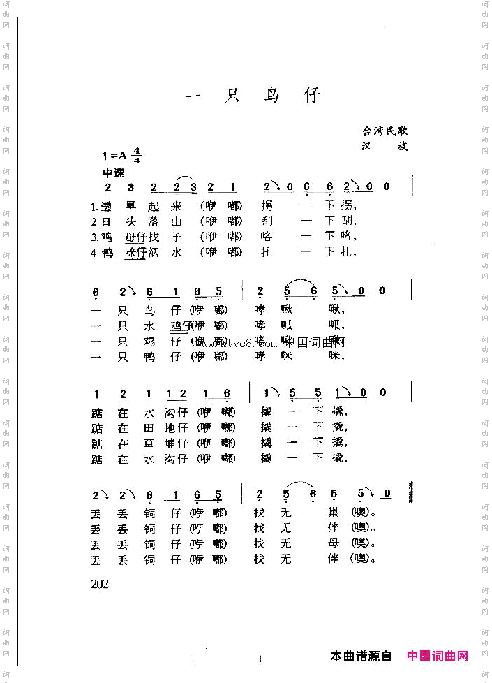 一只鸟仔