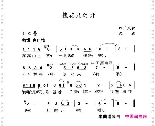 槐花几时开
