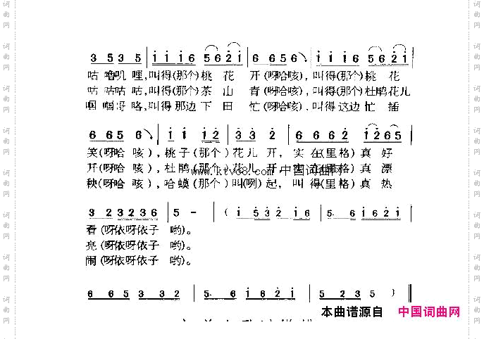 斑鸠调