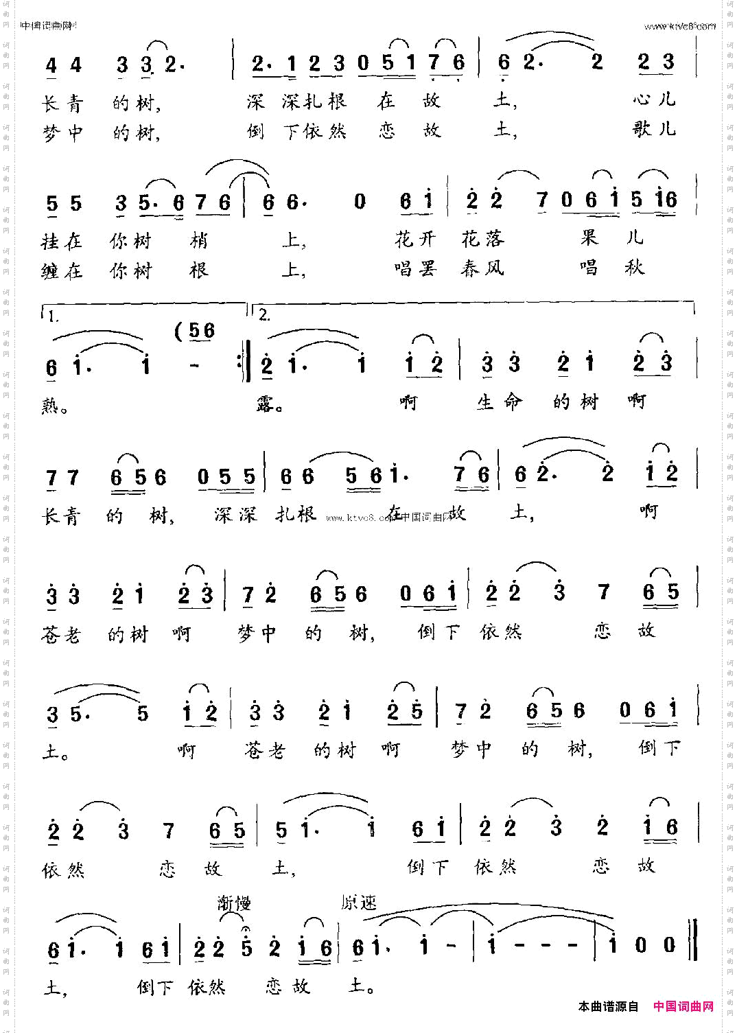 我寻找那棵树