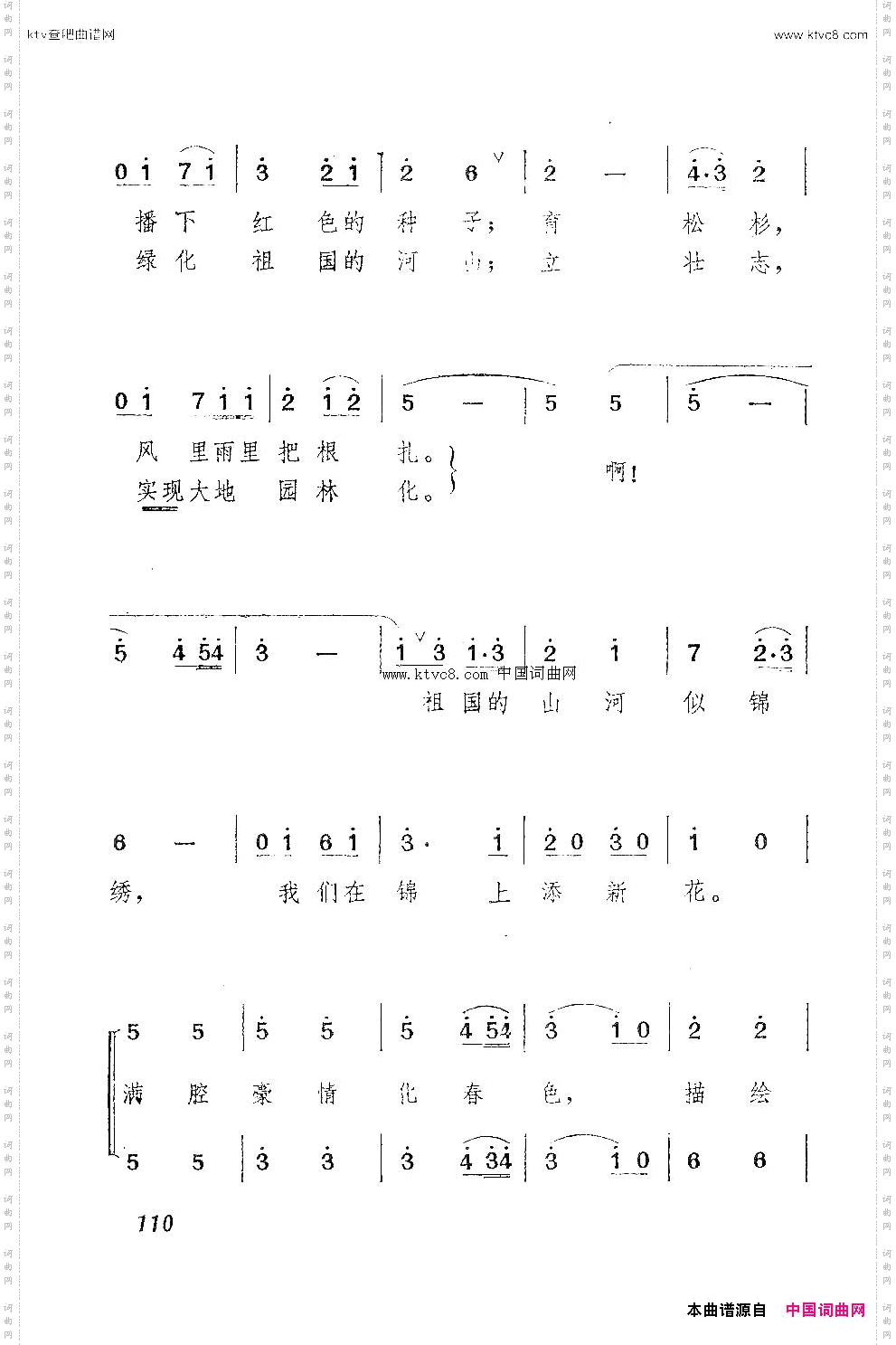 我们是年轻的育林人