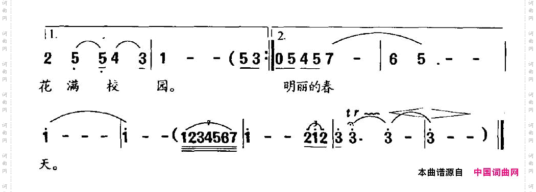 紫罗兰