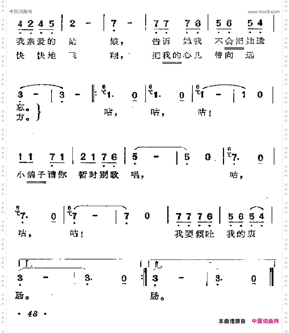 [墨西哥]小信鸽