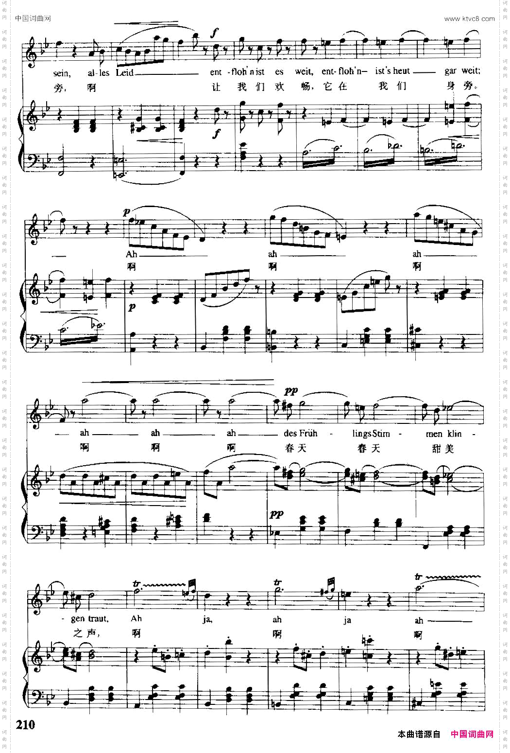 春之声圆舞曲_【奥】中外文对照、正谱
