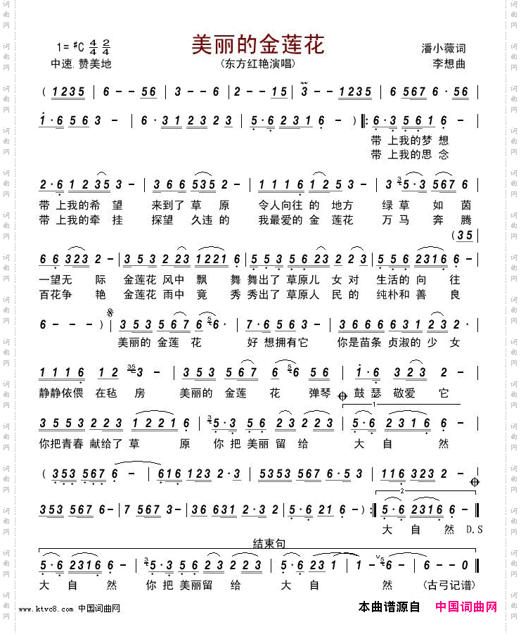 美丽的金莲花