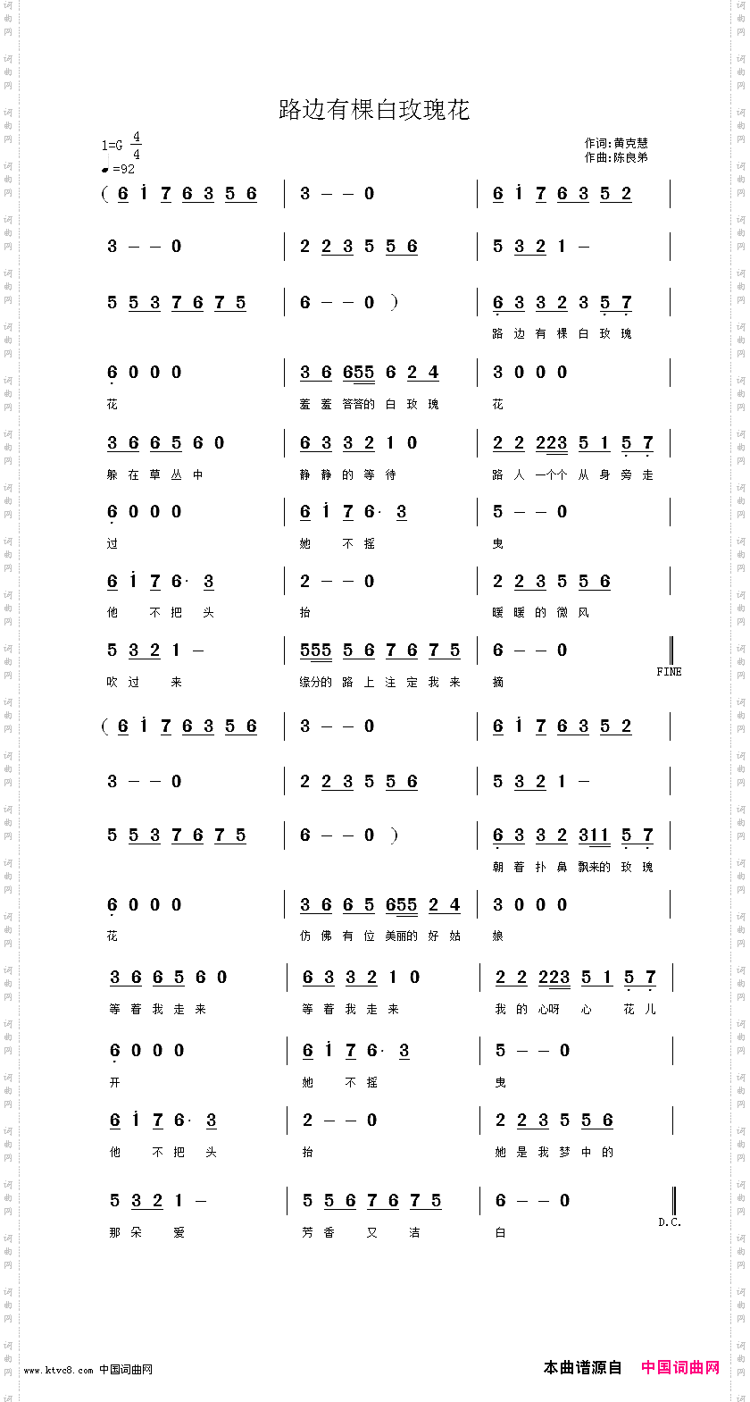 路边有棵白玫瑰花