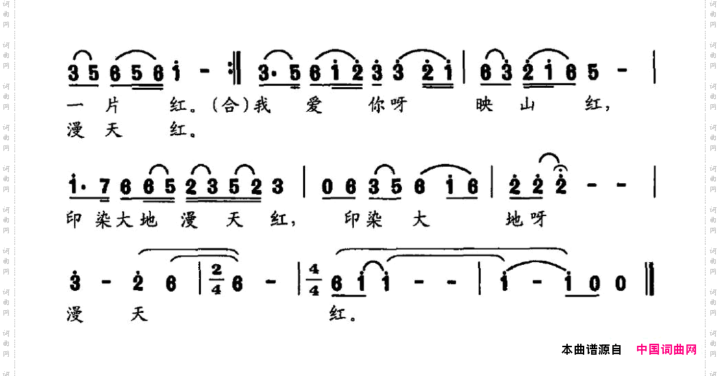 映山红之恋