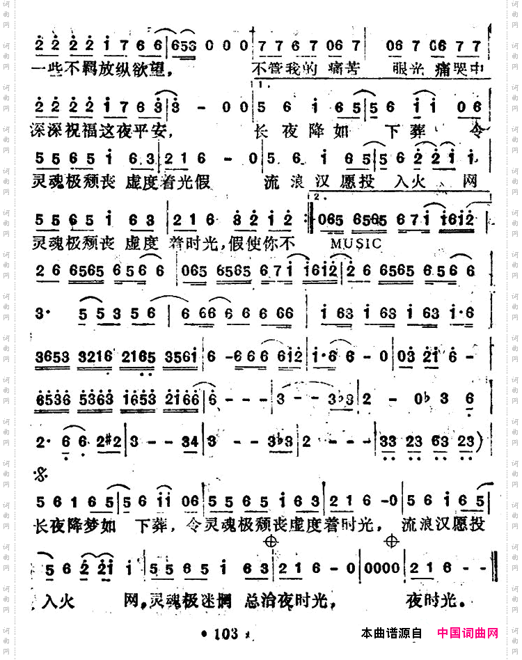 黑豹