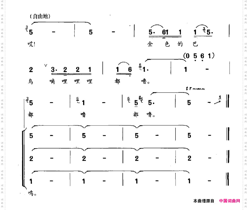 金巴鸟