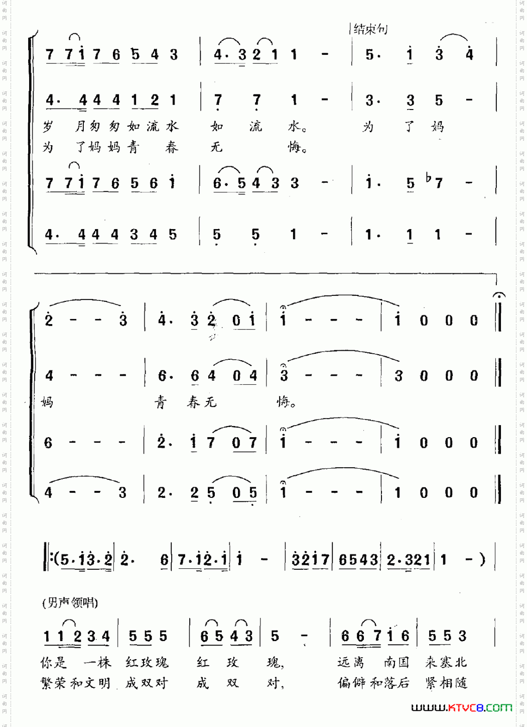 青春无悔
