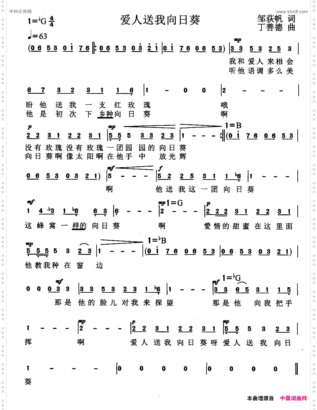 爱人送我向日葵