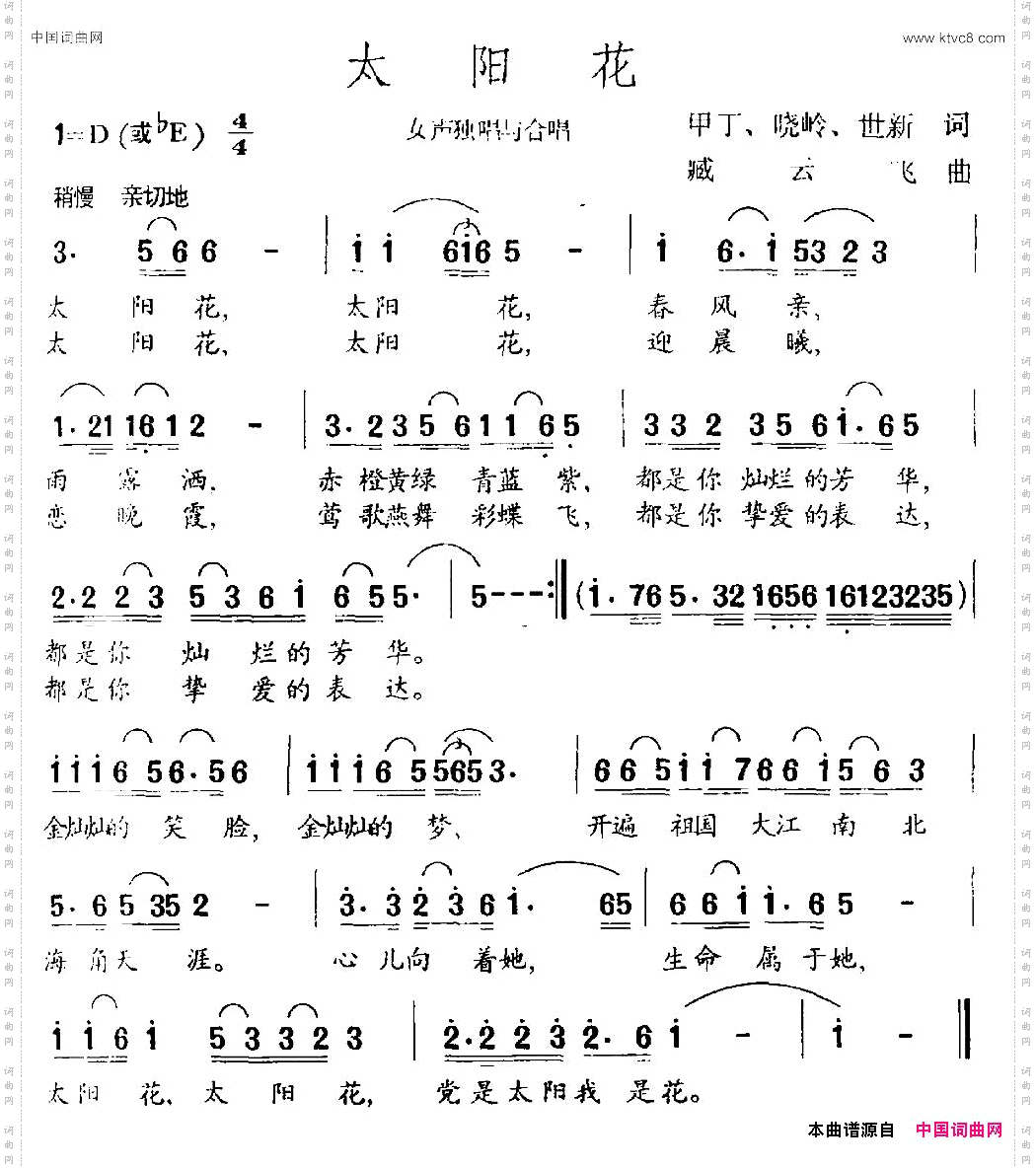 太阳花