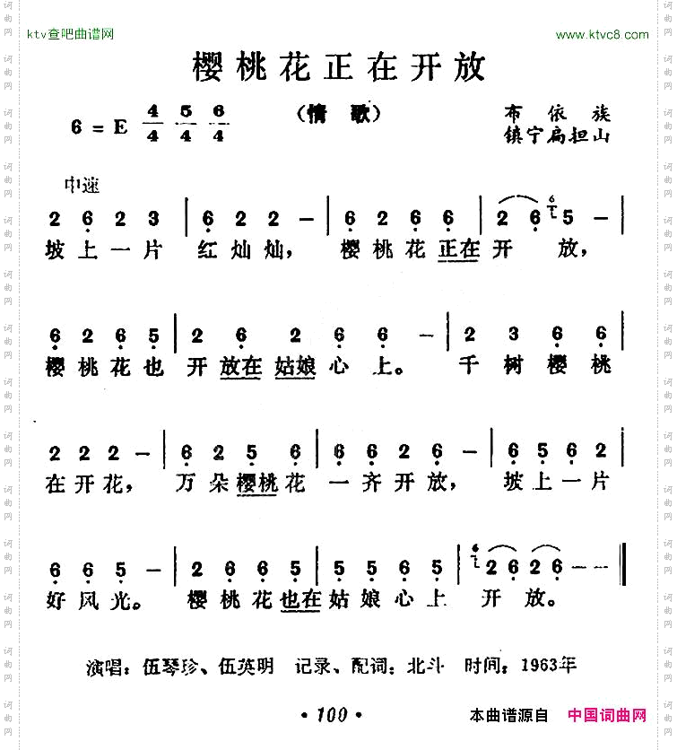 樱桃花正在开放