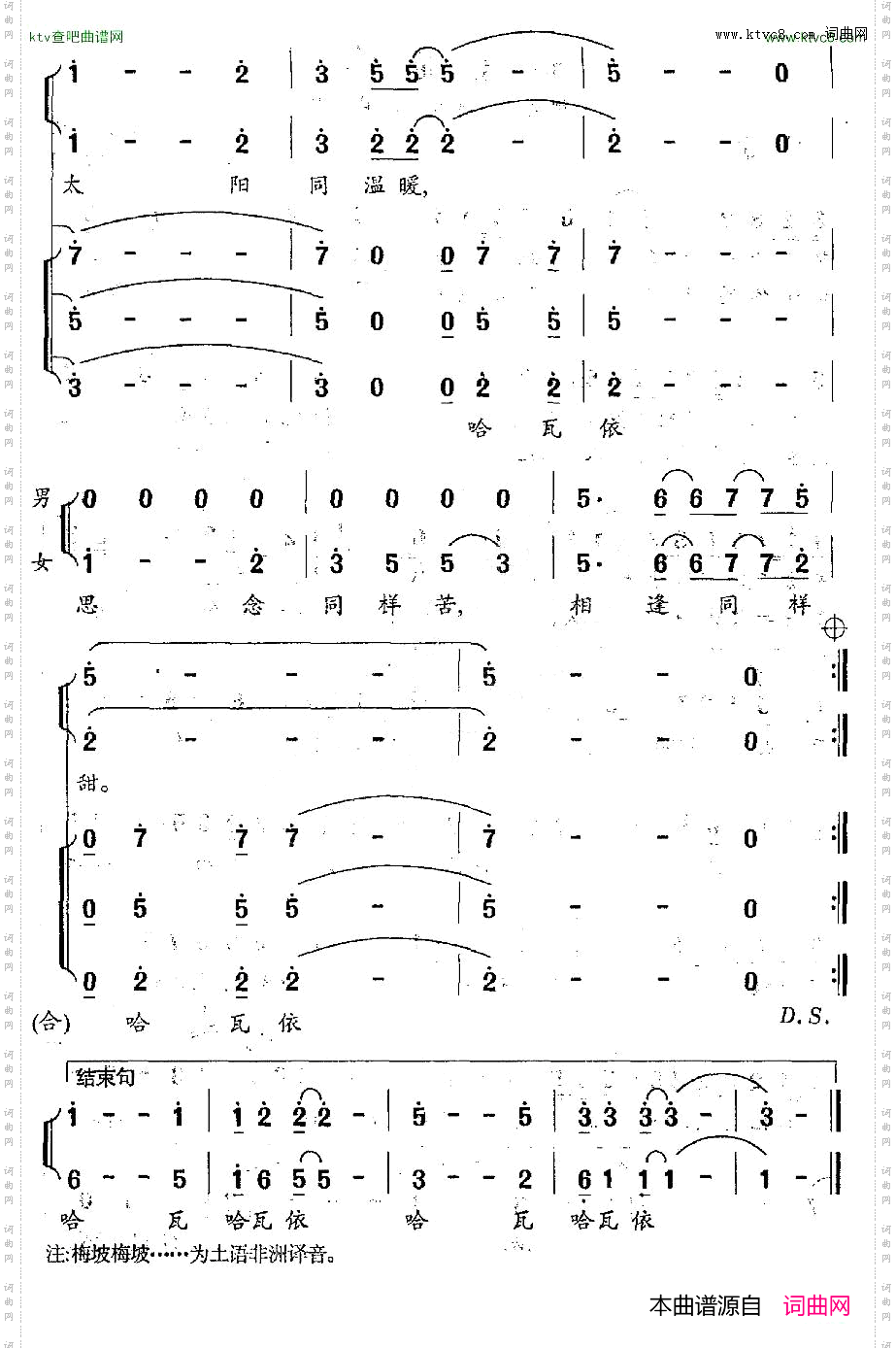 嫁到非洲电视剧《嫁到非洲》主题歌