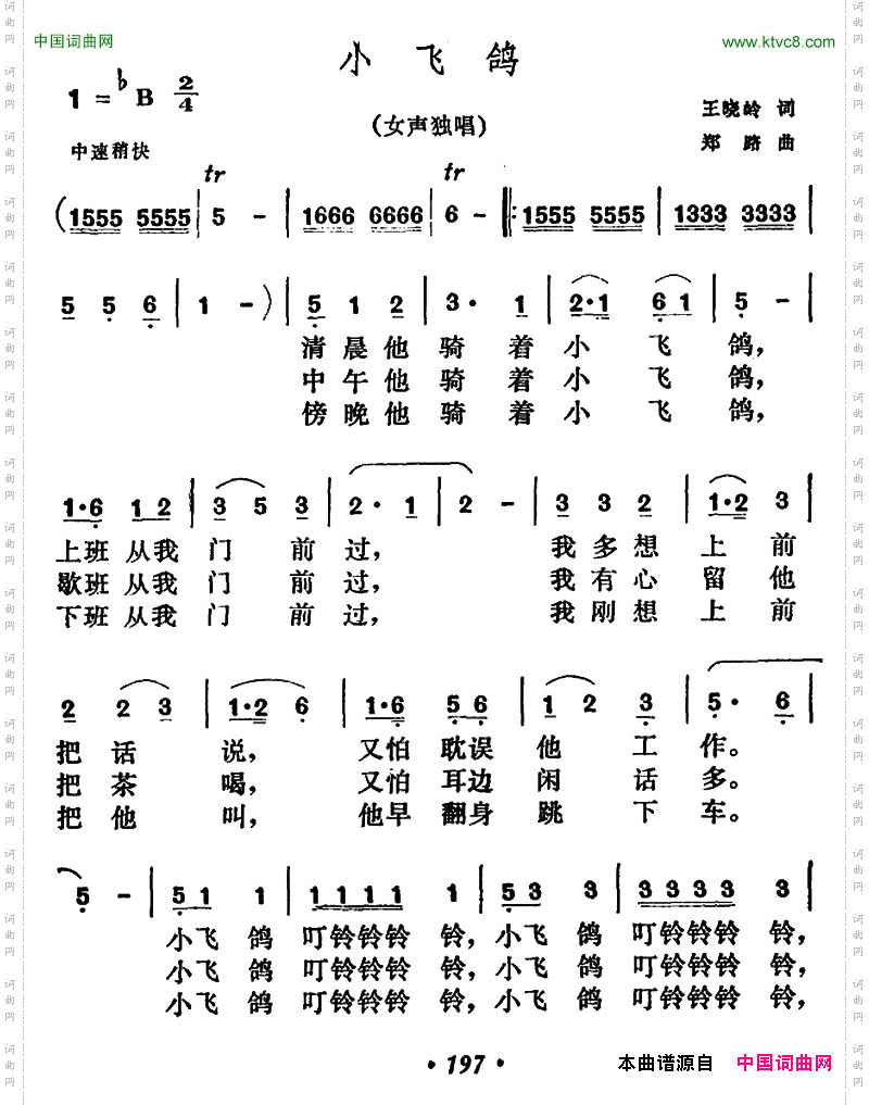 小飞鸽