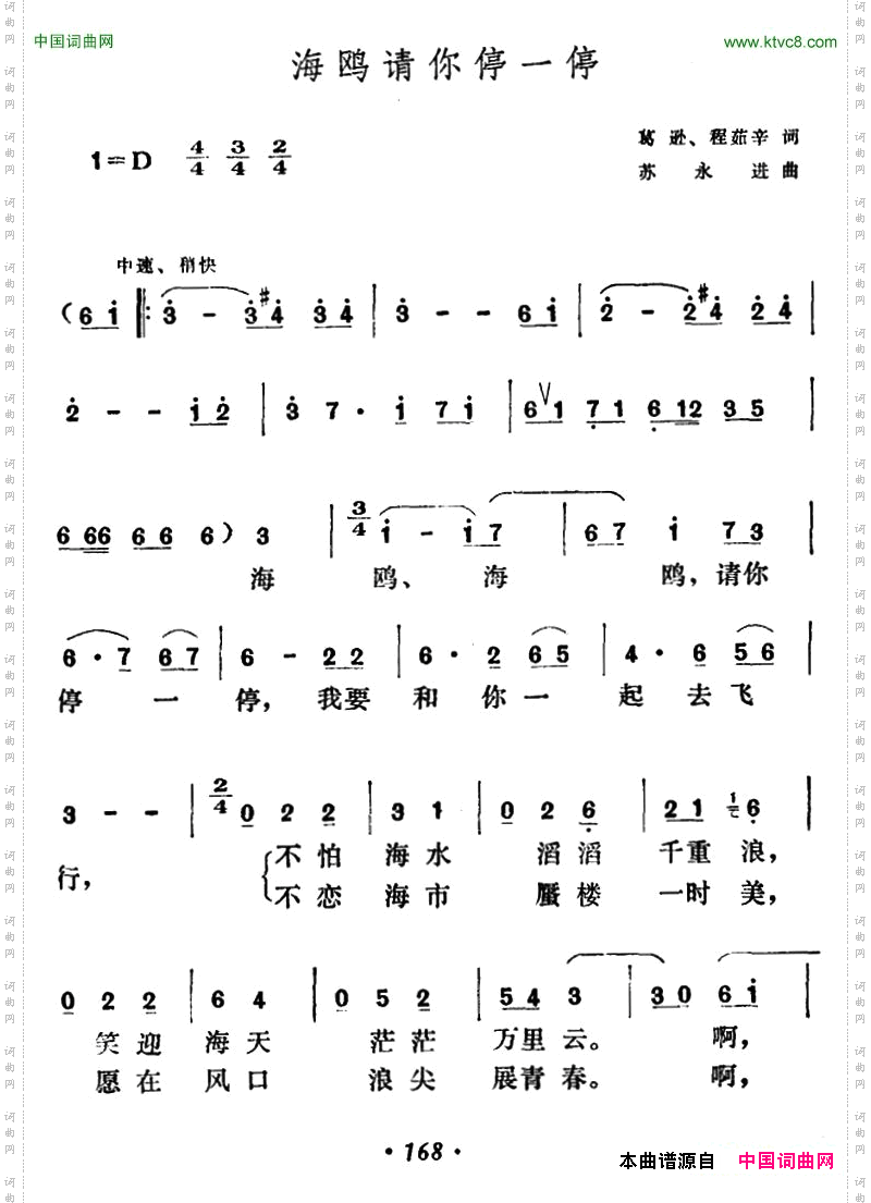 海鸥请你停一停