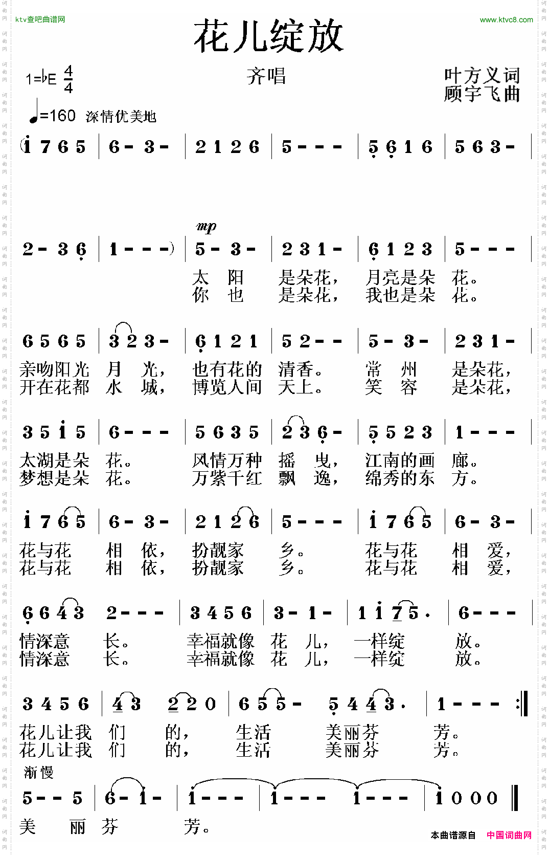 花儿绽放