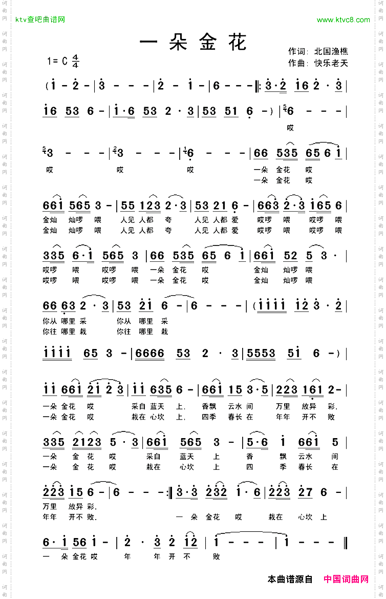 一朵金花