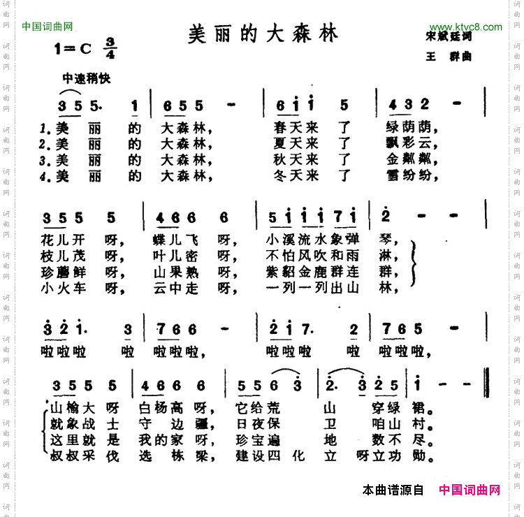 美丽的大森林
